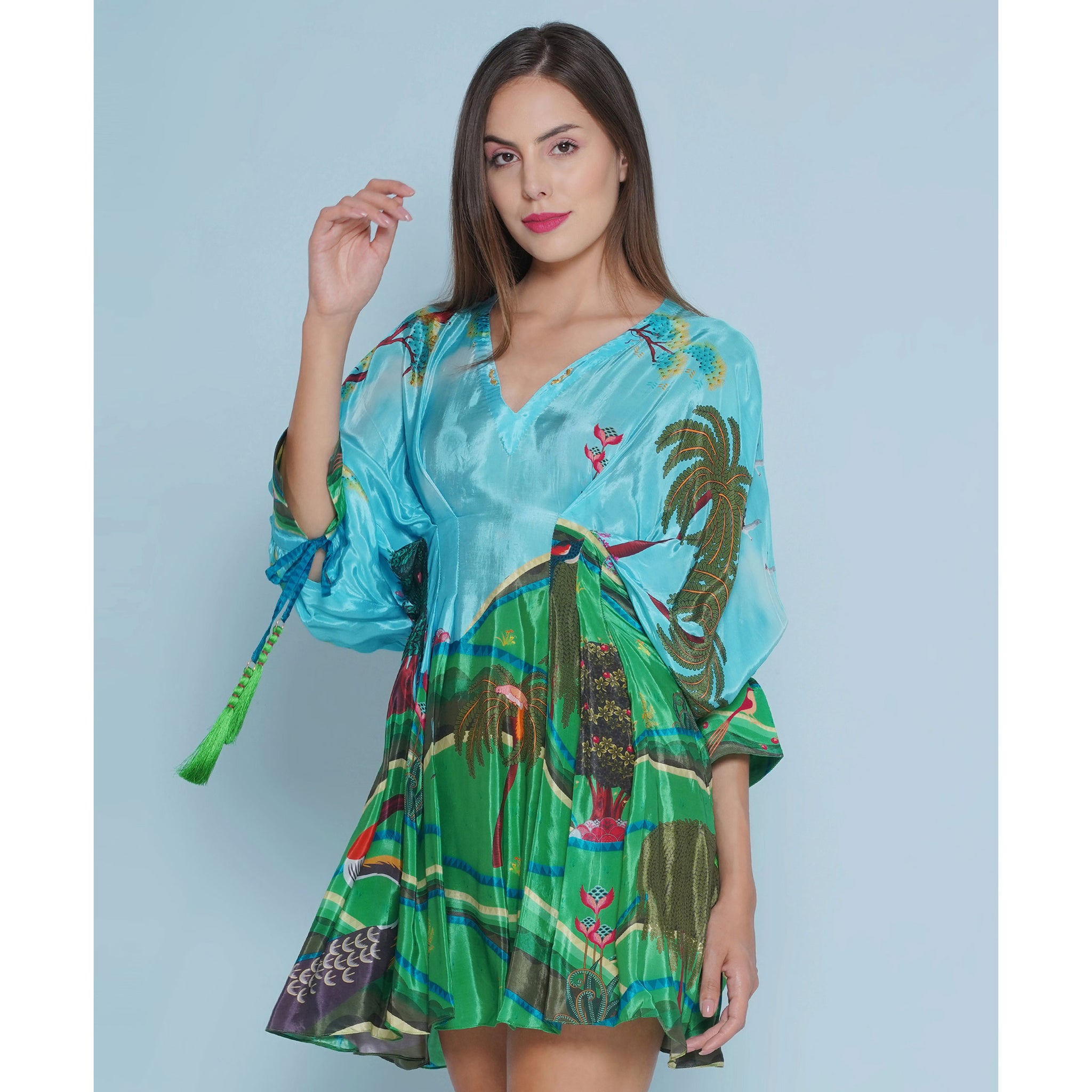 Embroidered Dress