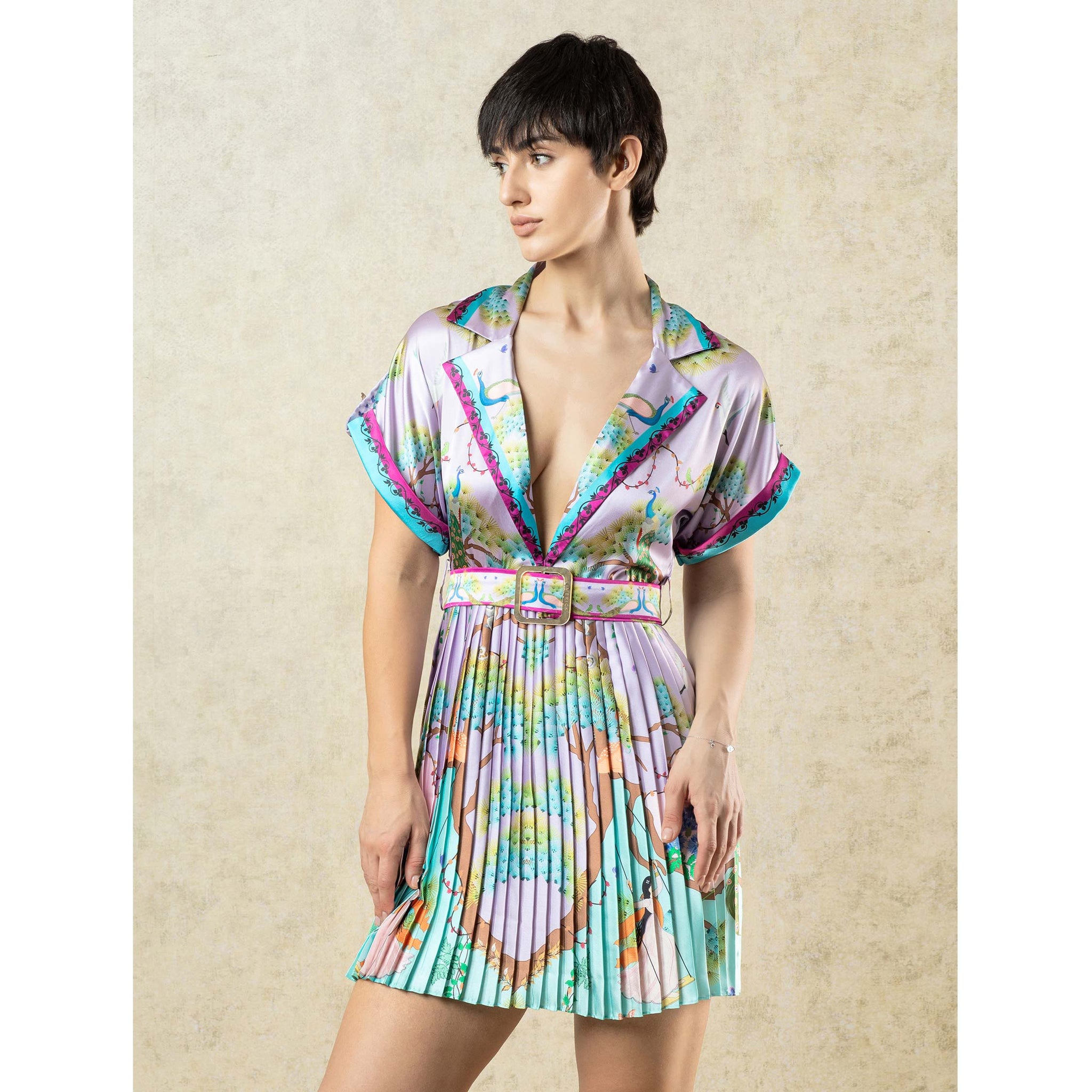 Embroidered Dress