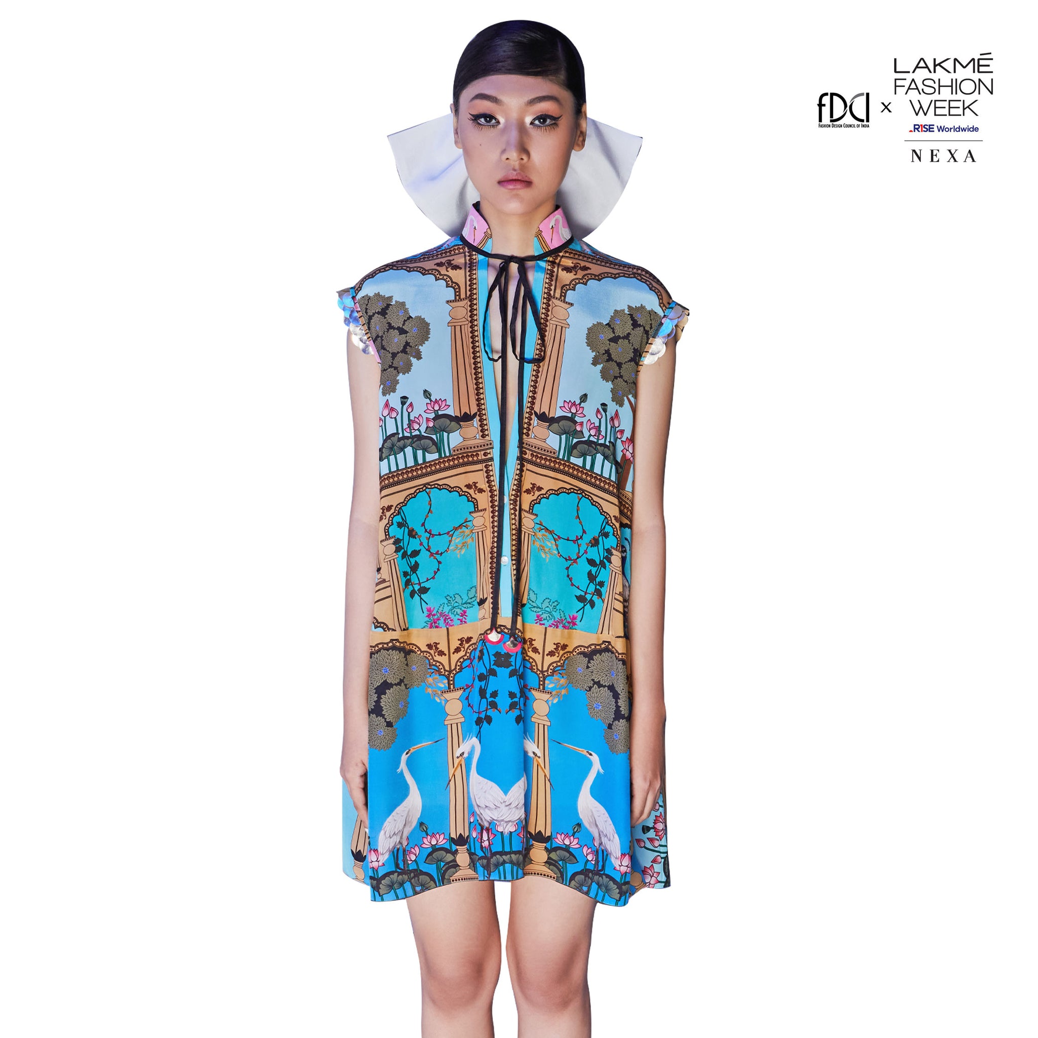 Embroidered Dress