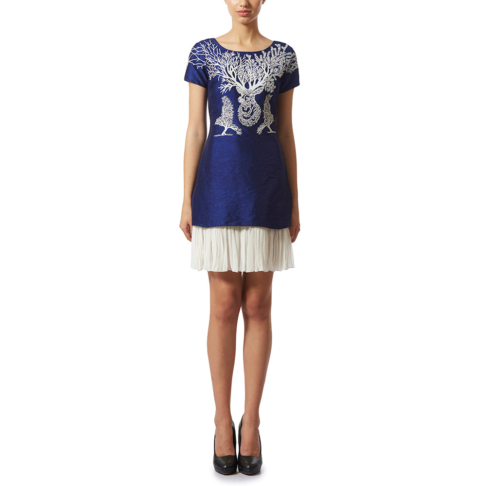 Embroidered Dress