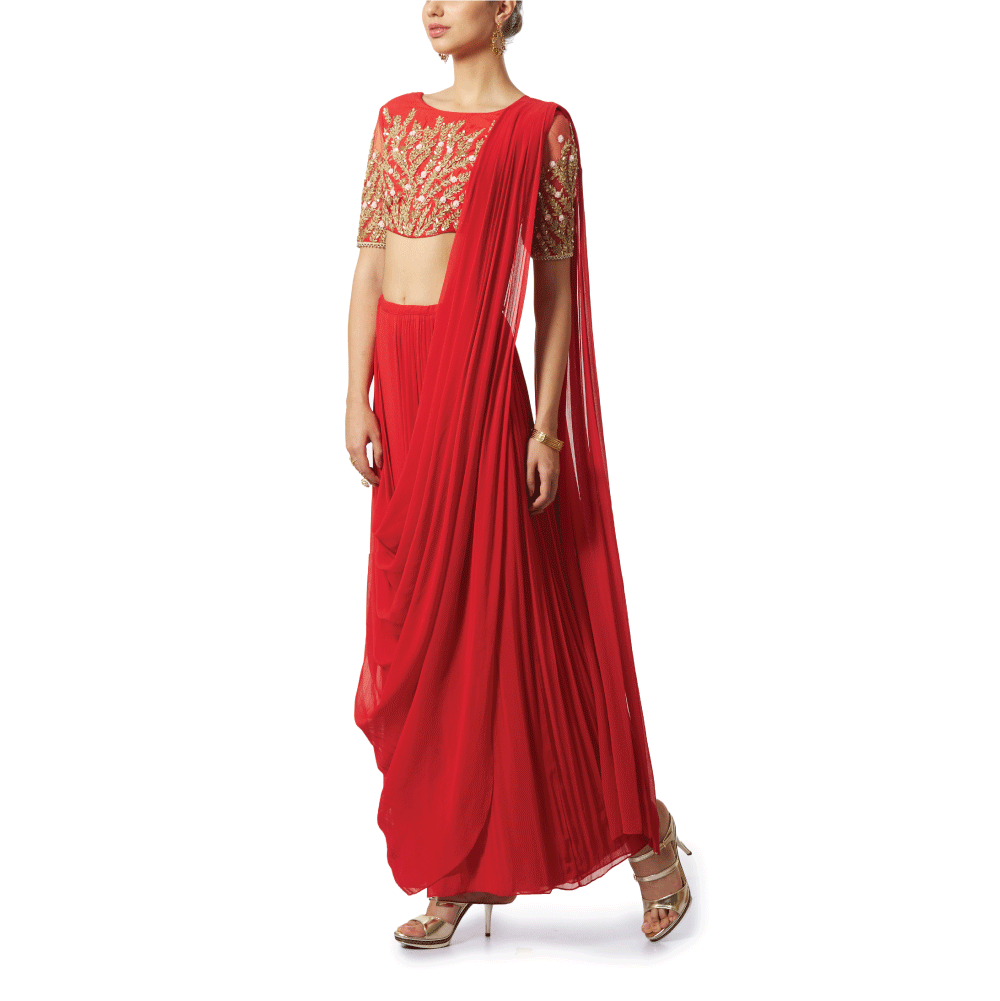 Embroidered Pre Draped Pants Sari