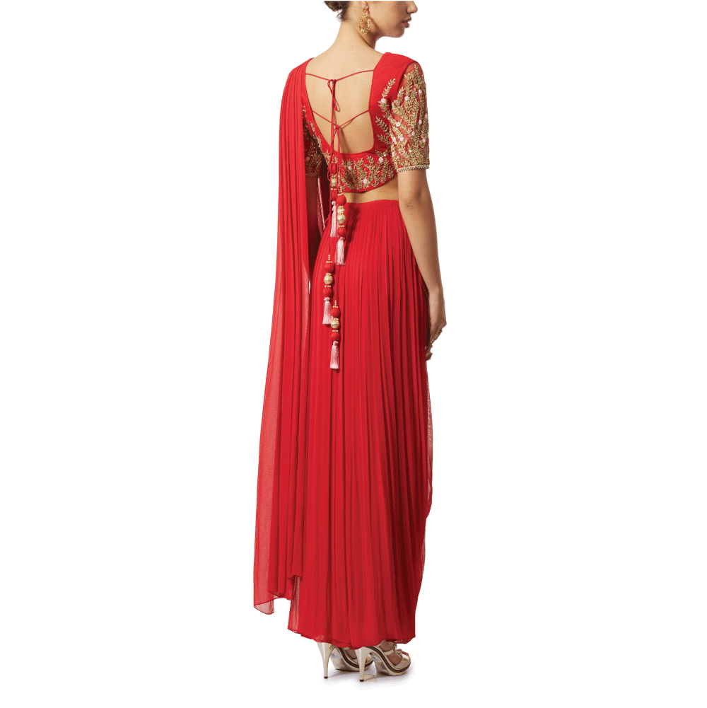 Embroidered Pre Draped Pants Sari